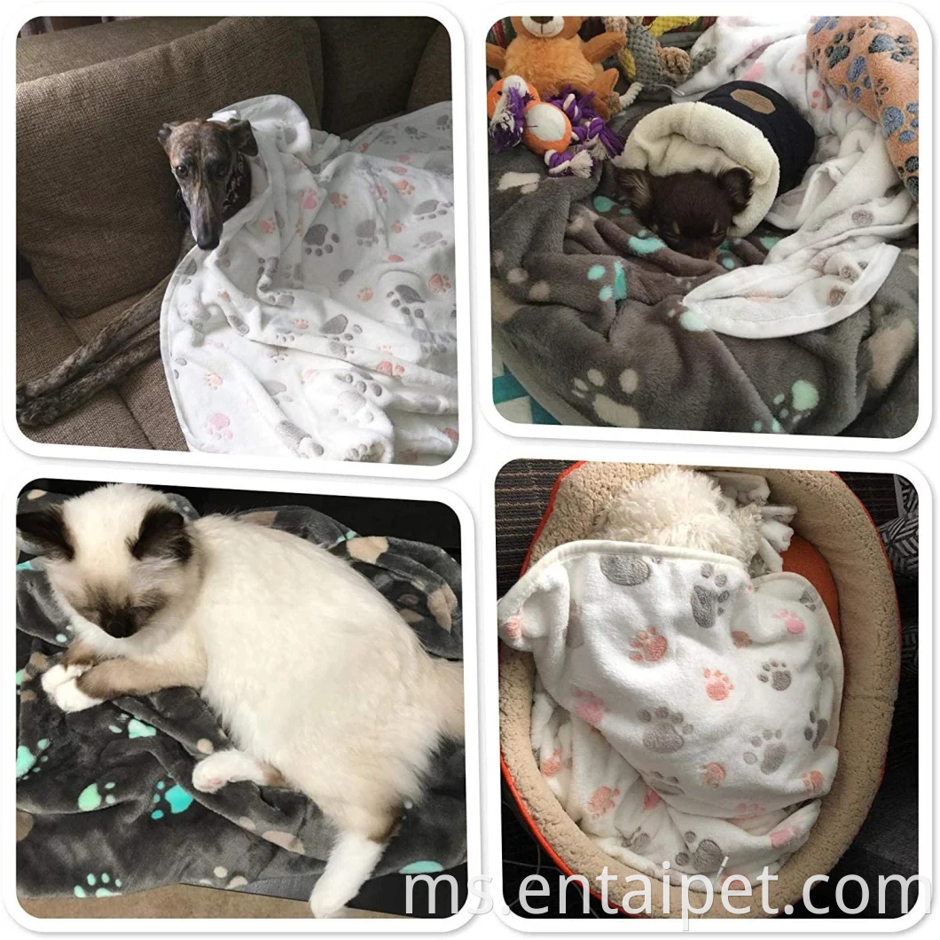 Produk haiwan peliharaan Reka bentuk cetakan comel yang boleh dibasuh selimut berbulu untuk anak kucing kucing anak anjing